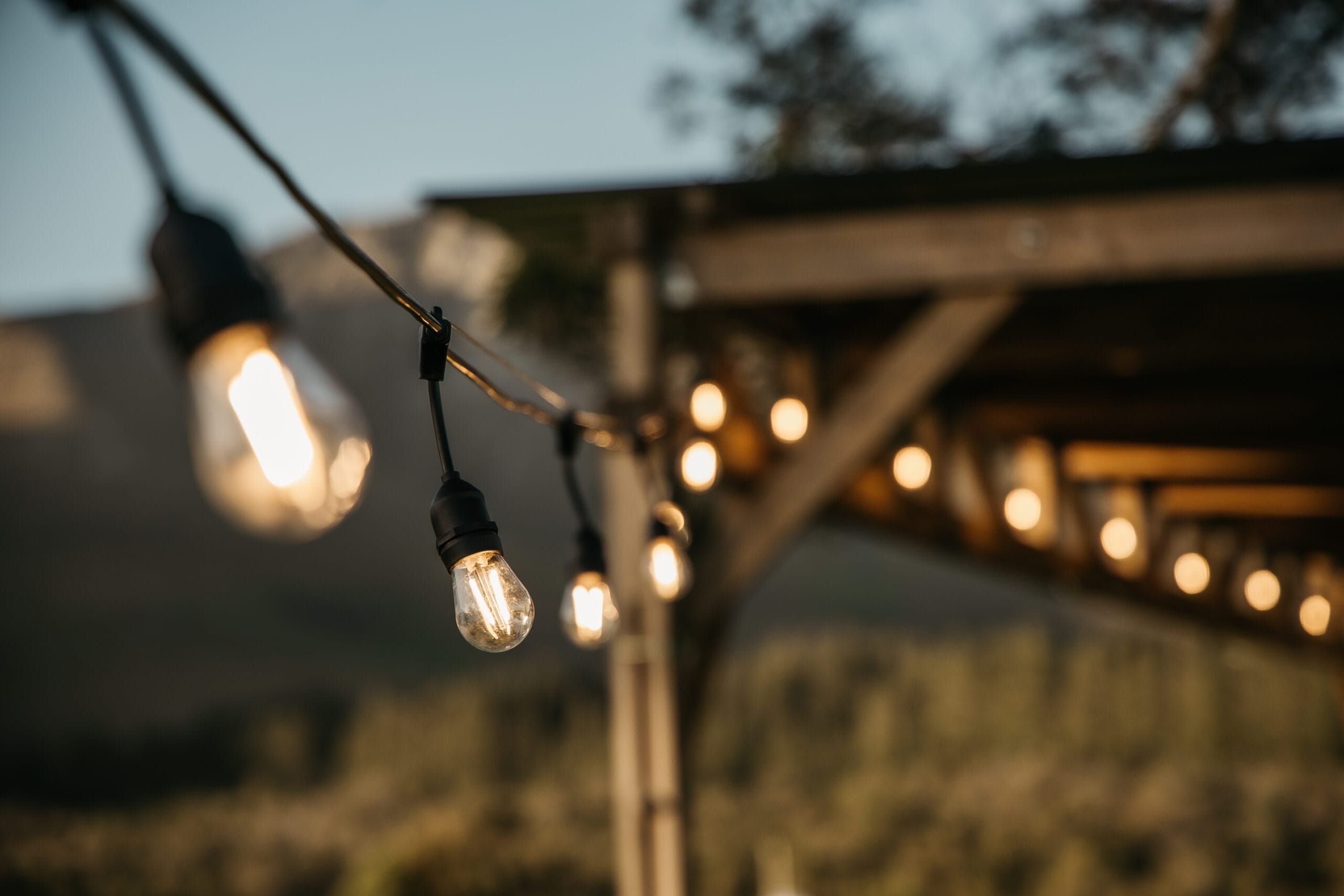 Beautiful Vines, Hypnotic Lights: Stanford Hills After Dark - Stellar Lighting