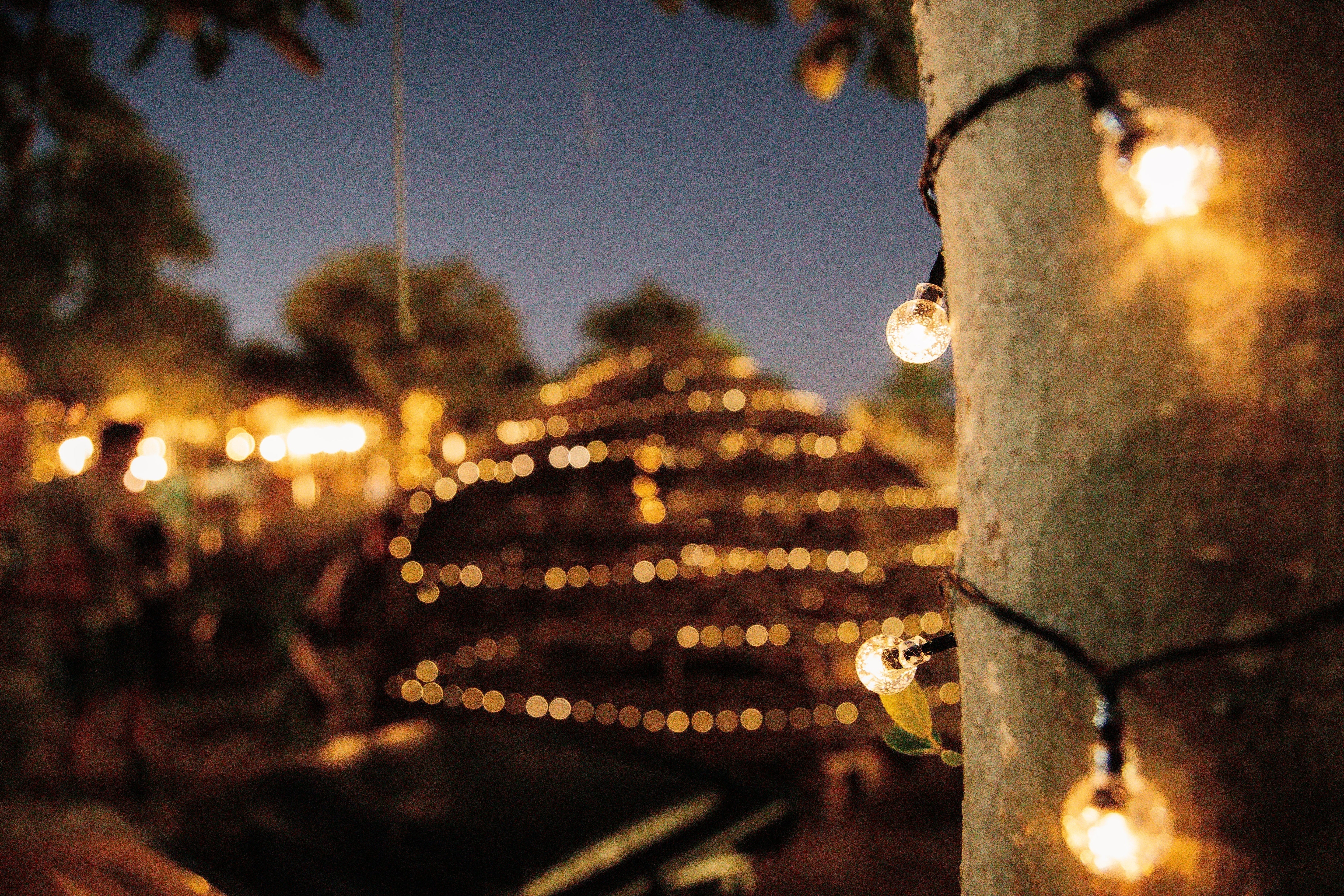 Would fairy lights add value to my garden? Here’s what you need to know! - Stellar Lighting