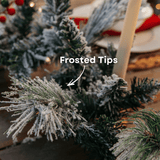 Close-up of snow-flocked frosted pine tips on a Christmas garland