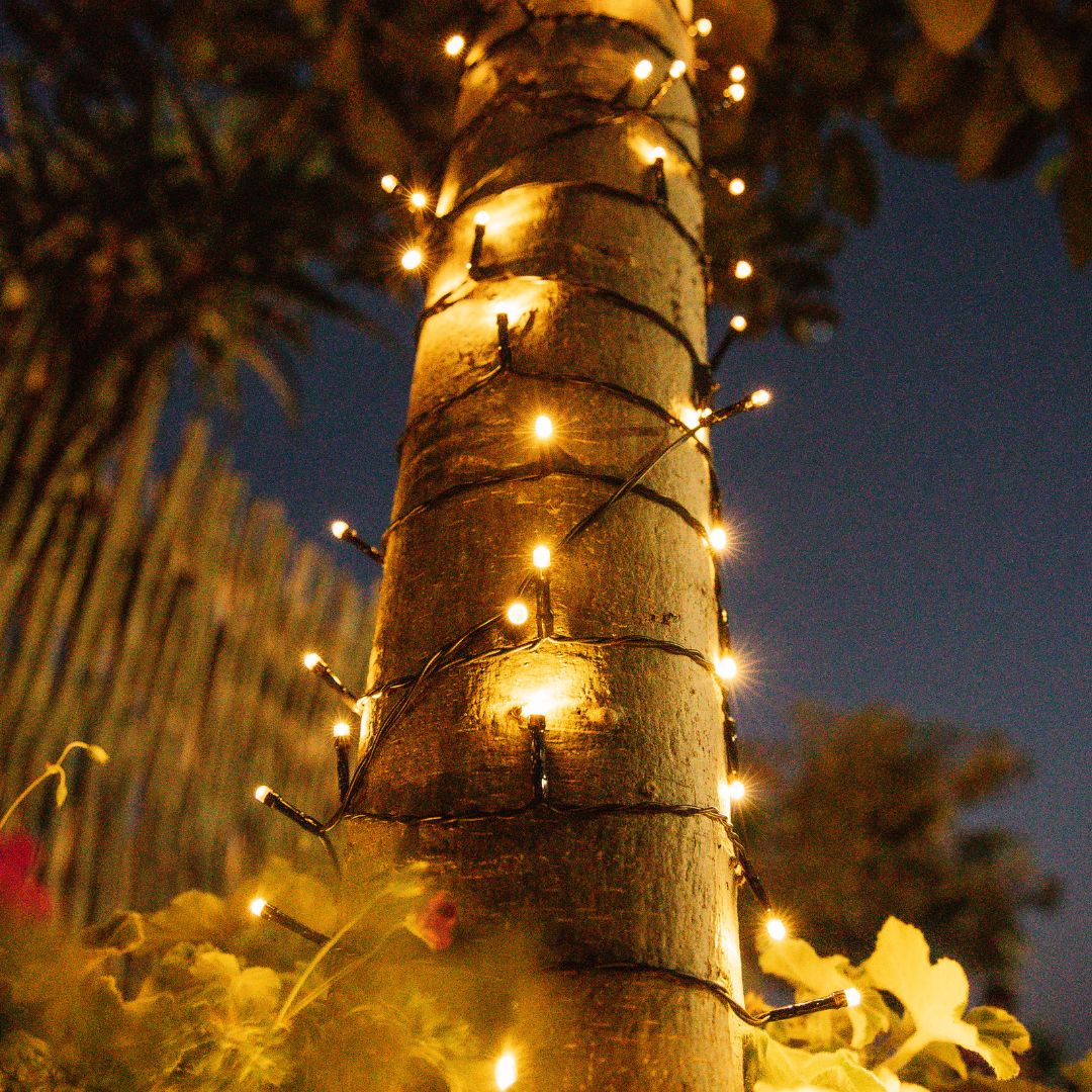 20m solar fairy lights with warm white LEDs wrapped around a tree trunk at night