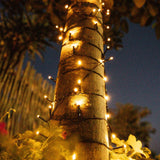20m solar fairy lights with warm white LEDs wrapped around a tree trunk at night
