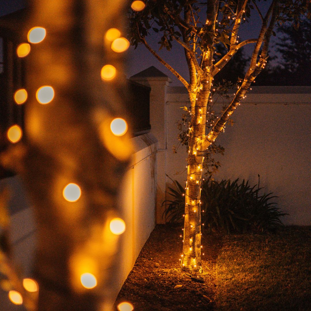Solar Fairy Lights wrapped around two trees in a garden. 