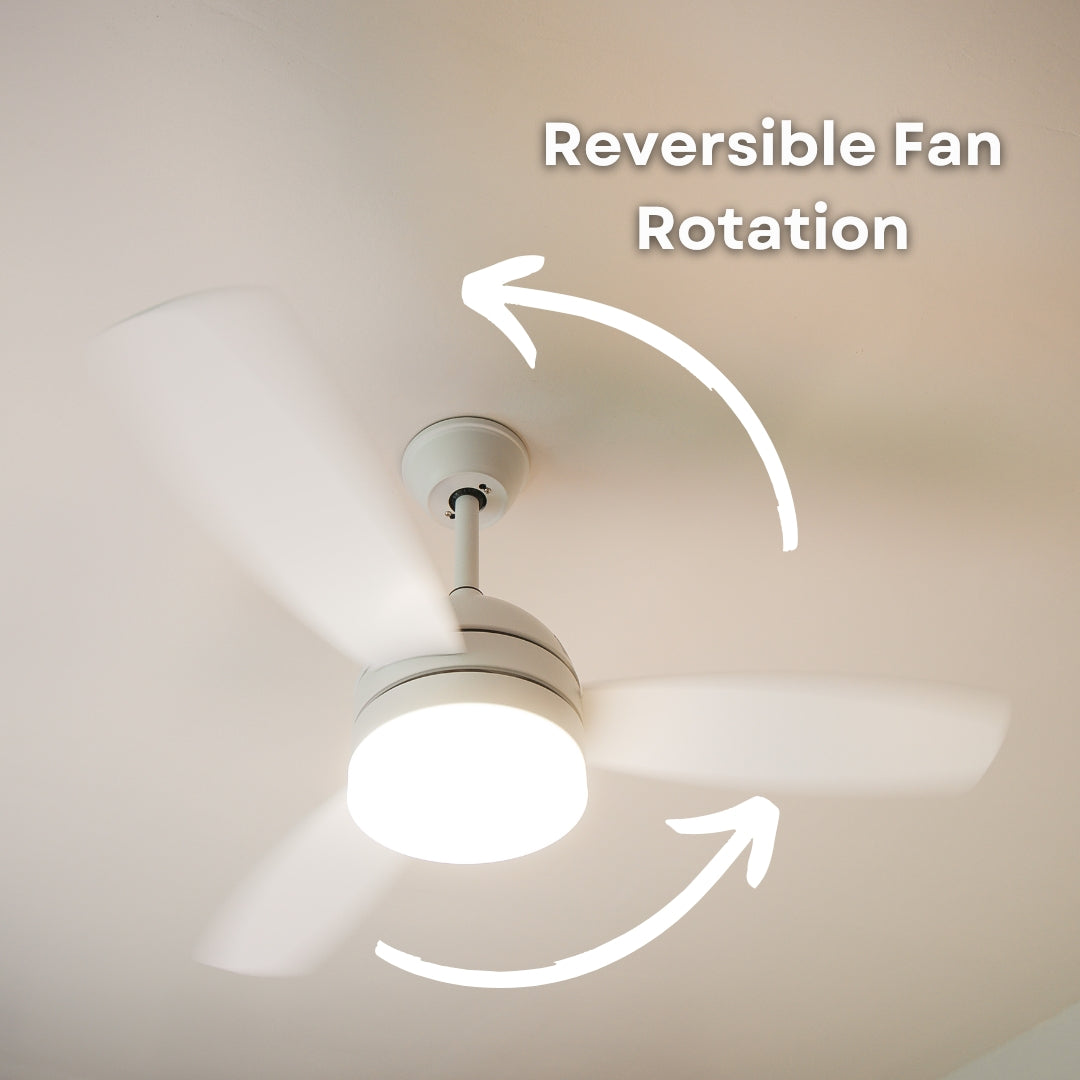 42 inch reversible wood and white blade ceiling fan showing reversible motor rotation callout for cooling in summer and warm air circulation in winter