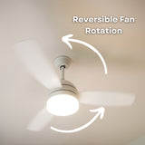 42 inch reversible wood and white blade ceiling fan showing reversible motor rotation callout for cooling in summer and warm air circulation in winter