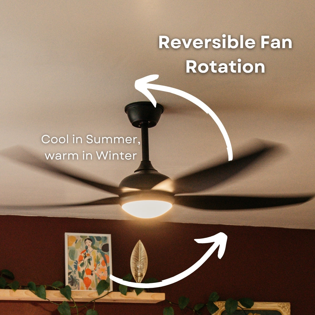 52 inch matte black ceiling fan showing reversible motor rotation callout for cooling in summer and warm air circulation in winter