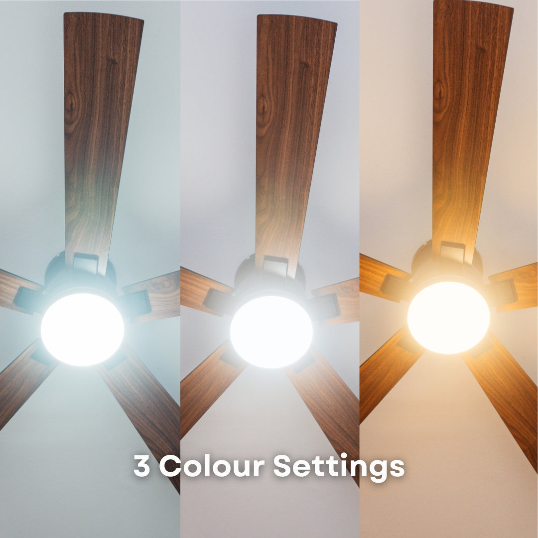 52 inch black wood smart LED ceiling fan showing three switchable colour temperature settings including warm white, neutral white, and daylight white