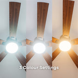52 inch black wood smart LED ceiling fan showing three switchable colour temperature settings including warm white, neutral white, and daylight white