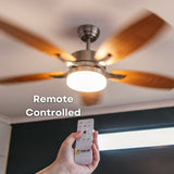 52 inch brushed silver oak blade ceiling fan shown with included RF remote control for adjusting fan speed, light colour, brightness, and timer