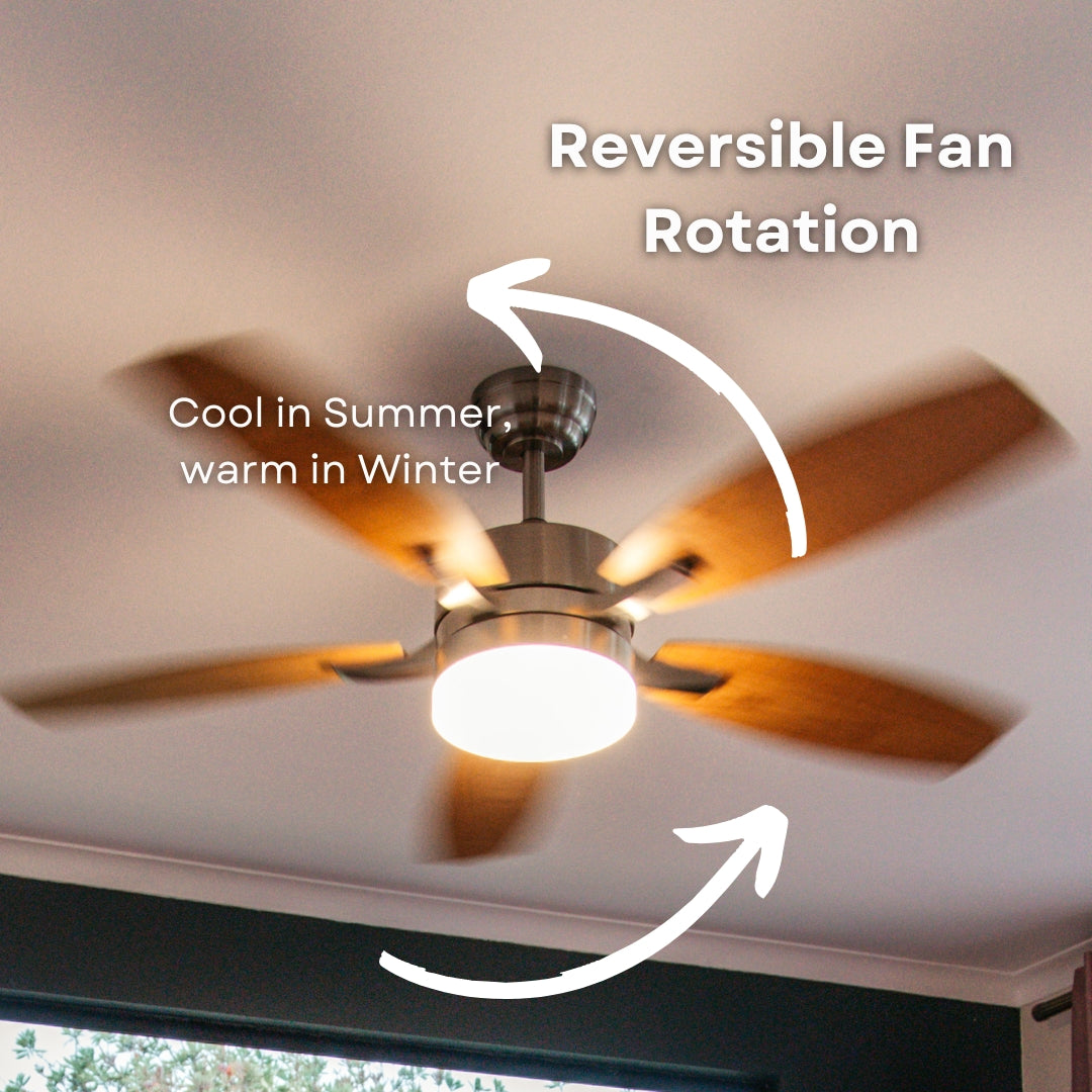 Close-up of 52 inch ceiling fan showing reversible MDF blade with medium oak finish on one side and lighter oak finish on the other beside brushed silver motor body