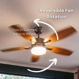 Close-up of 52 inch ceiling fan showing reversible MDF blade with medium oak finish on one side and lighter oak finish on the other beside brushed silver motor body