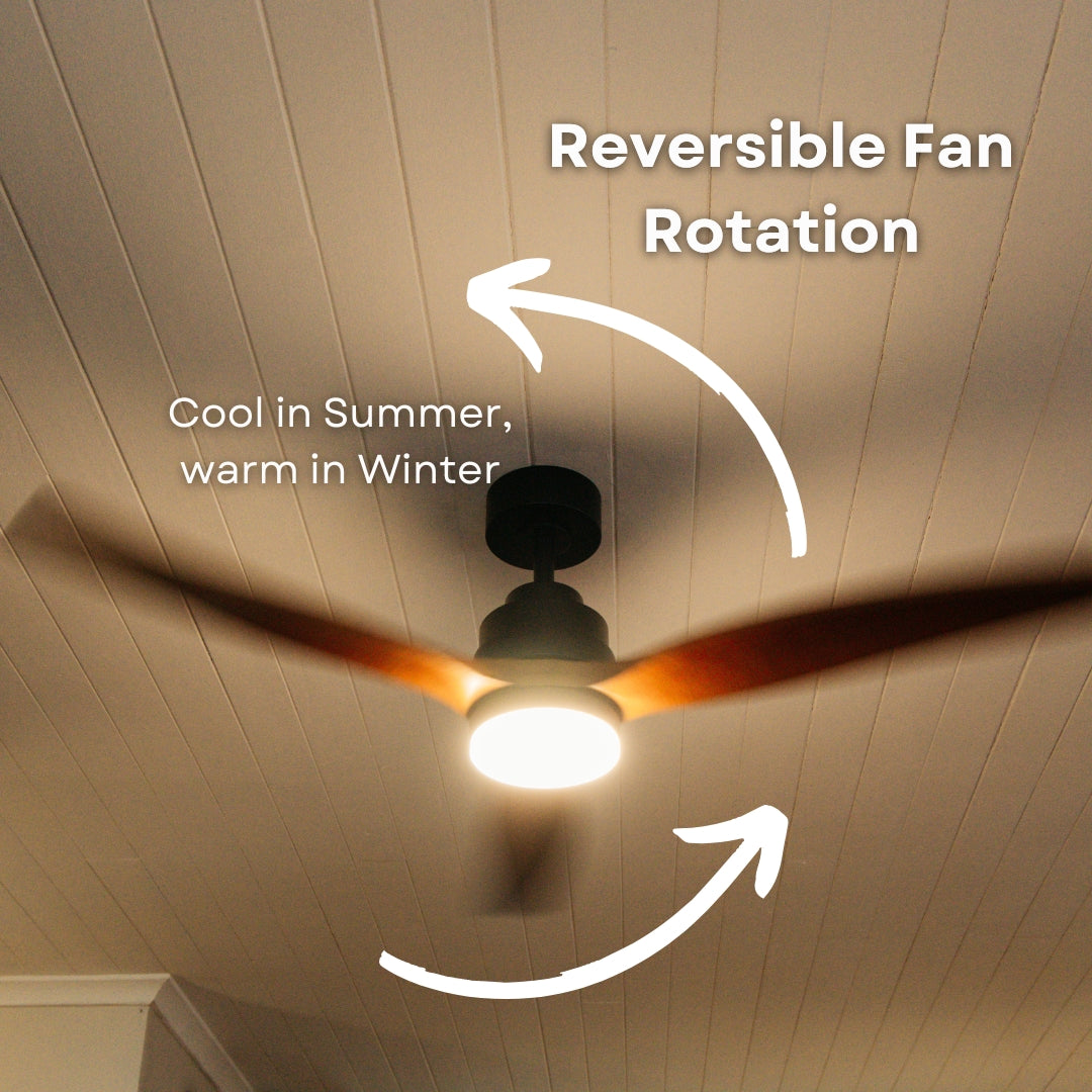 52 inch dark oak wood blade ceiling fan showing reversible motor rotation callout for cooling in summer and warm air circulation in winter
