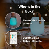 What's in the box collage for Bluetooth Speaker Lantern showing the lantern with wooden handle, USB charging cable, and remote control