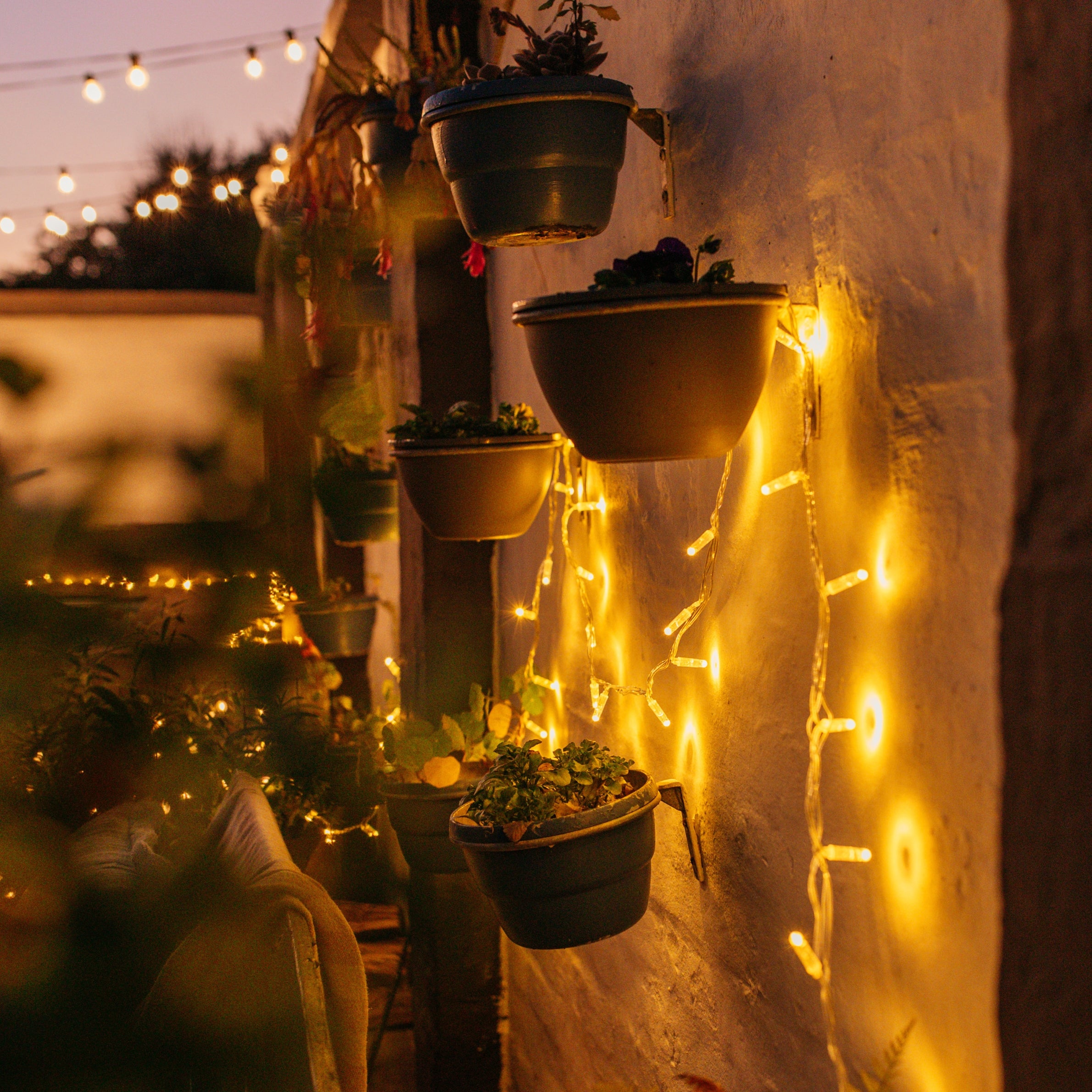 Warm white fairy lights strung along an outdoor patio wall with hanging plants