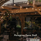 Classic String Lights with 25 warm white G40 globe bulbs strung across Peregrine Farm Stall creating a warm continuous golden glow