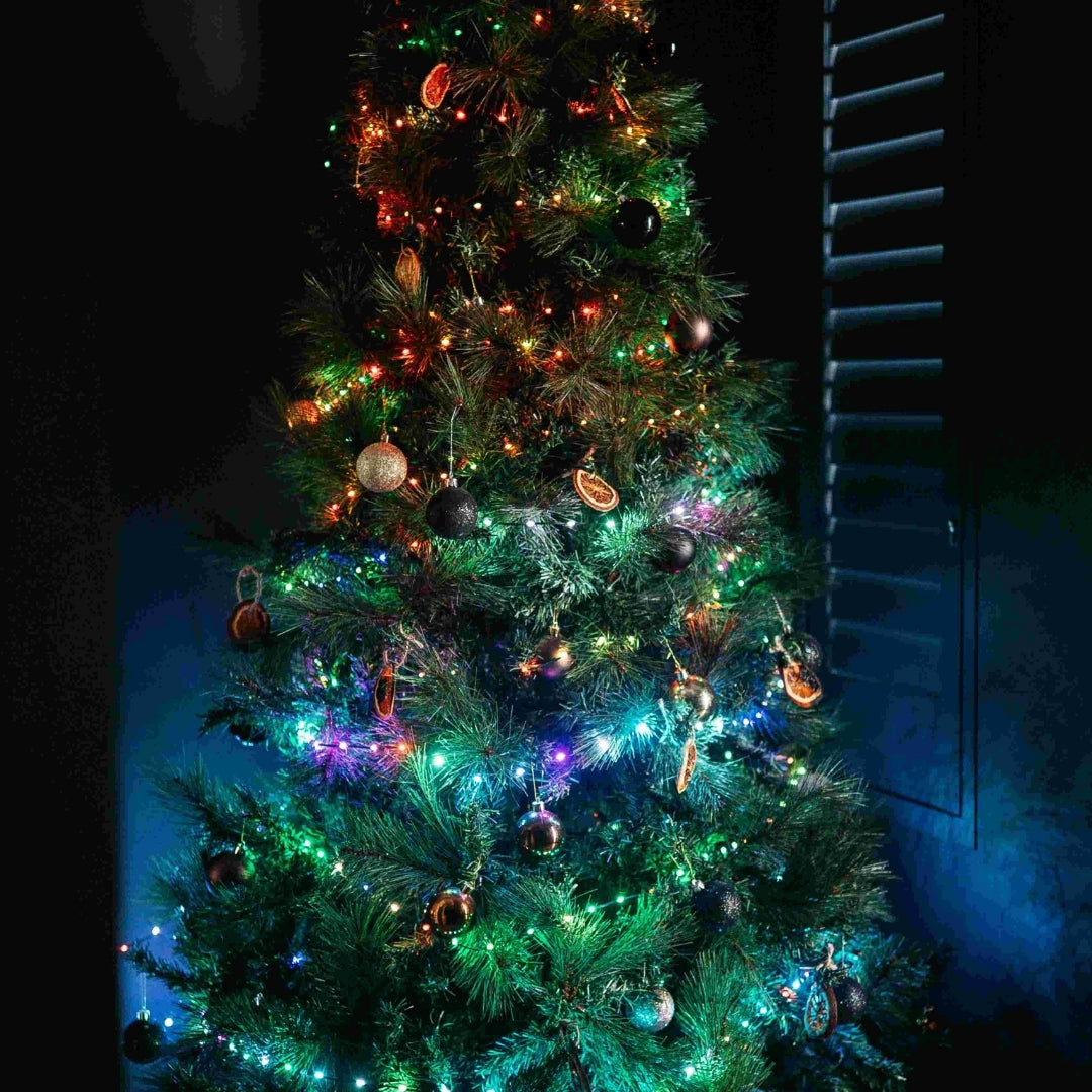 Colourful LED fairy lights with green wire wrapped around a Christmas tree