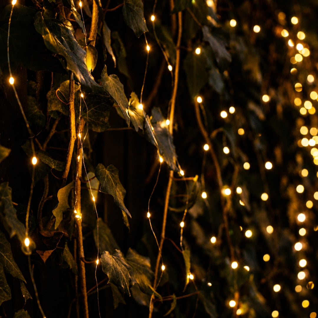 Copper Fairy lights draped over leaves in a dark setting