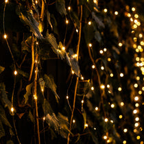 Copper Fairy lights draped over leaves in a dark setting
