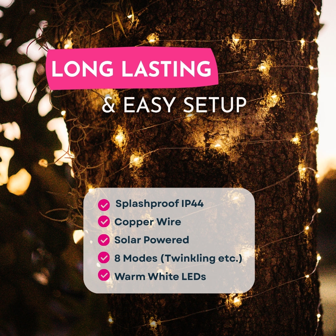 Fairy lights on a tree with features highlighted on a pink and white label.