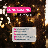 Fairy lights on a tree with features highlighted on a pink and white label.