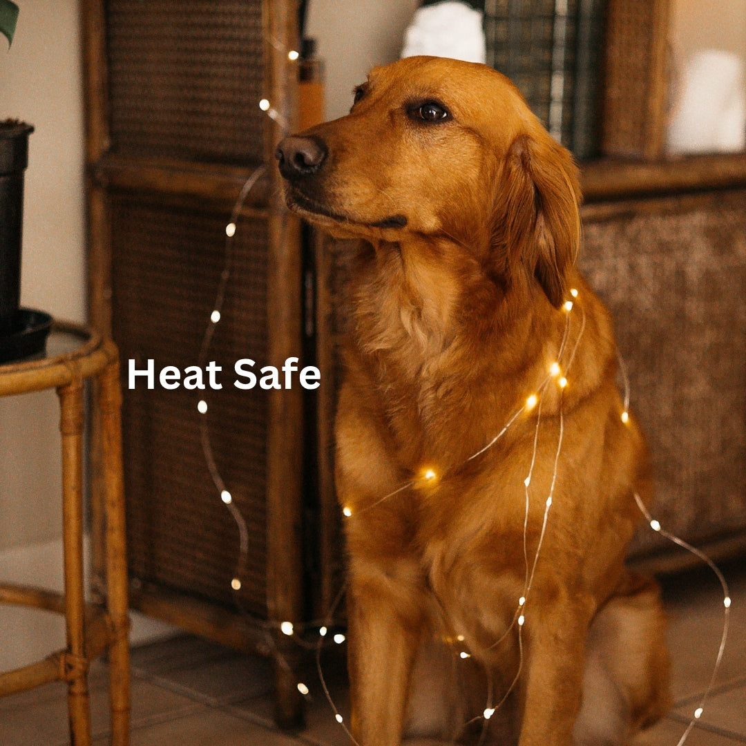 Dog sitting indoors with fairy lights around it, text 'Heat Safe' displayed.