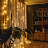 Room interior with curtain fairy lights, plants, and a bookshelf.