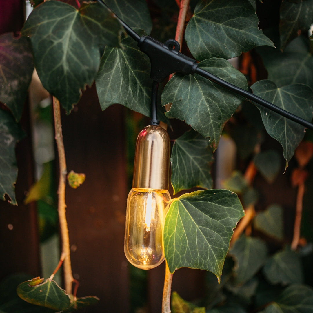 Gold Drop String light bulb hanging among green leaves