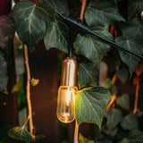 Gold Drop String light bulb hanging among green leaves