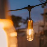 Gold Drop String light bulb hanging outdoors with a blurred background