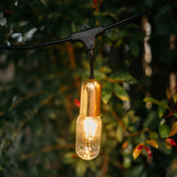 Gold Drop String light bulb hanging against a blurred green foliage background