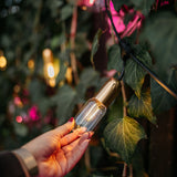 Hand holding a bulb with a gold top detail near green leaves with blurred lights in the background