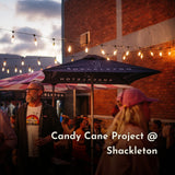 Outdoor event at Shackleton with people and branded umbrellas under Stellar Lighting string lights.