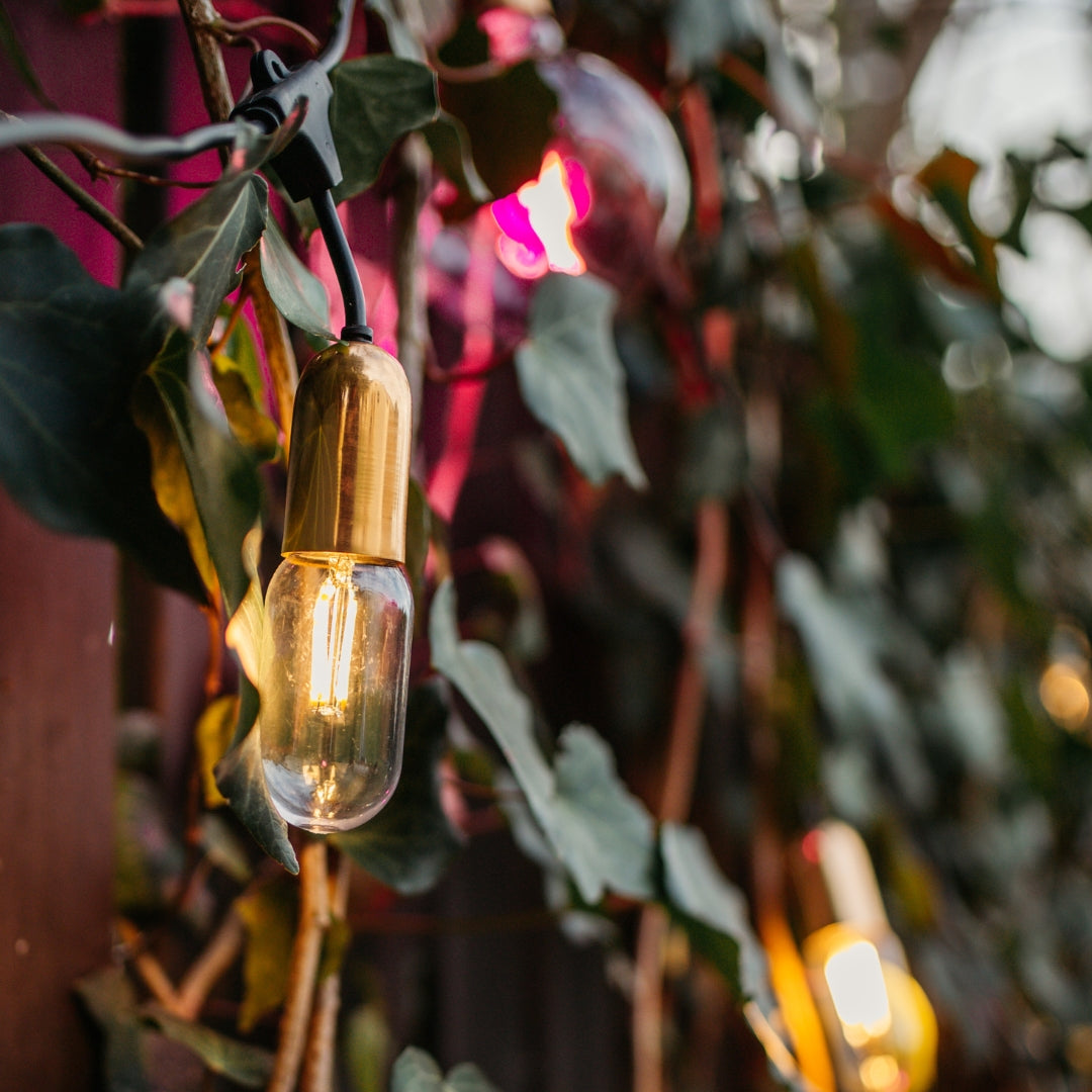 Gold Drop String lights with vintage-style bulbs hanging among green leaves
