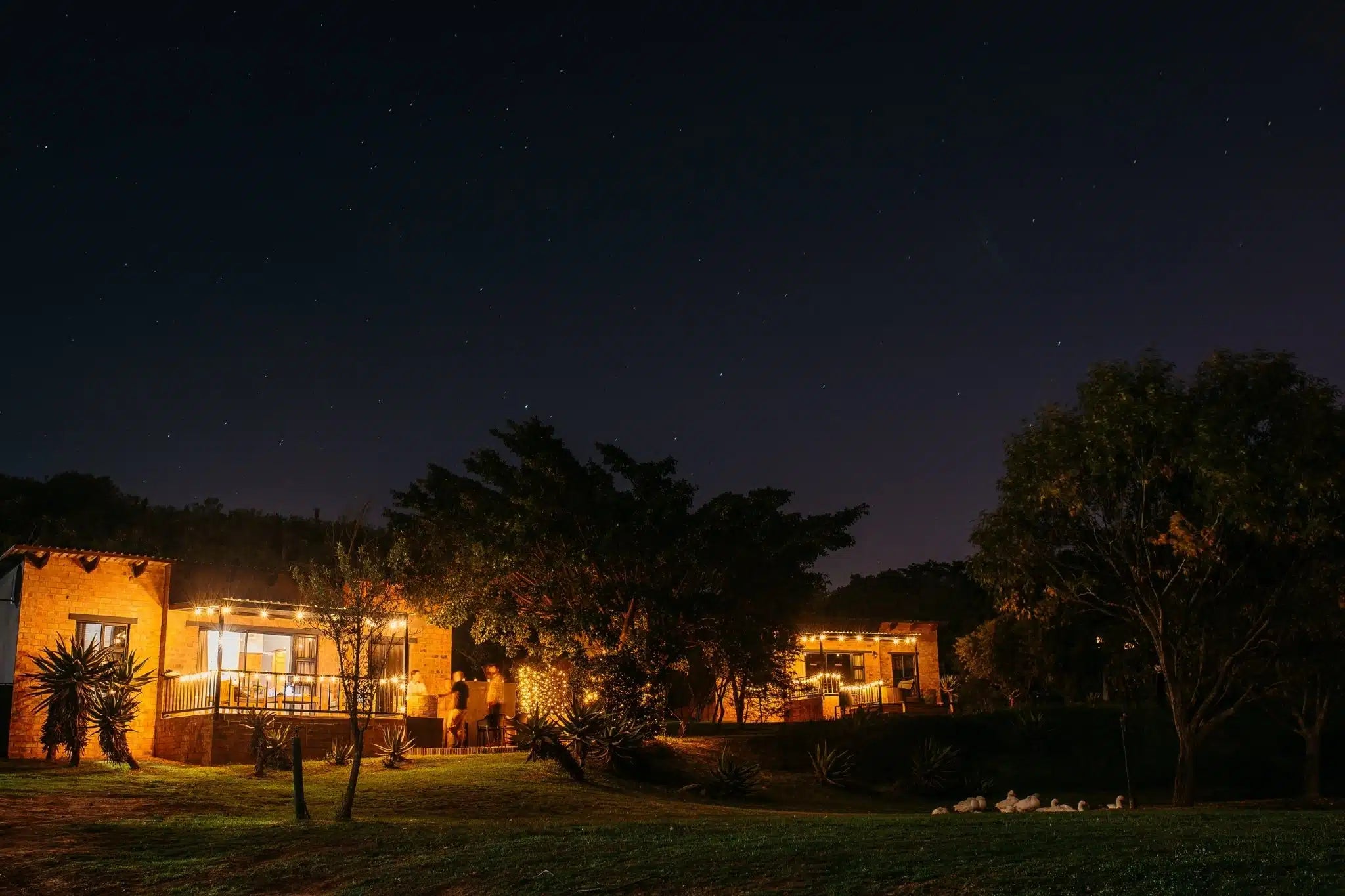 Evening view of a cabin with solar lights on, surrounded by trees at Kambati River resort.