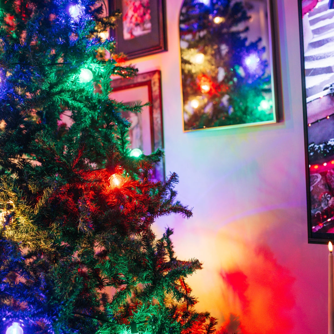 Multicolour Classic String Lights with colourful G40 globe bulbs strung across a South African Christmas or festive outdoor display creating a vibrant seasonal atmosphere