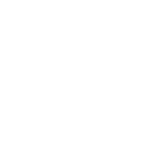 Peregrine logo