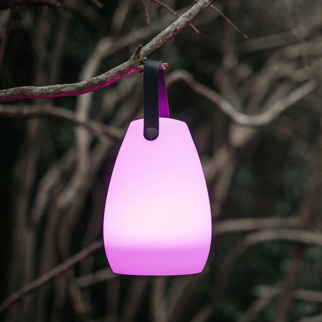 Rechargeable RGB camping lantern hanging from a tree branch glowing outdoors