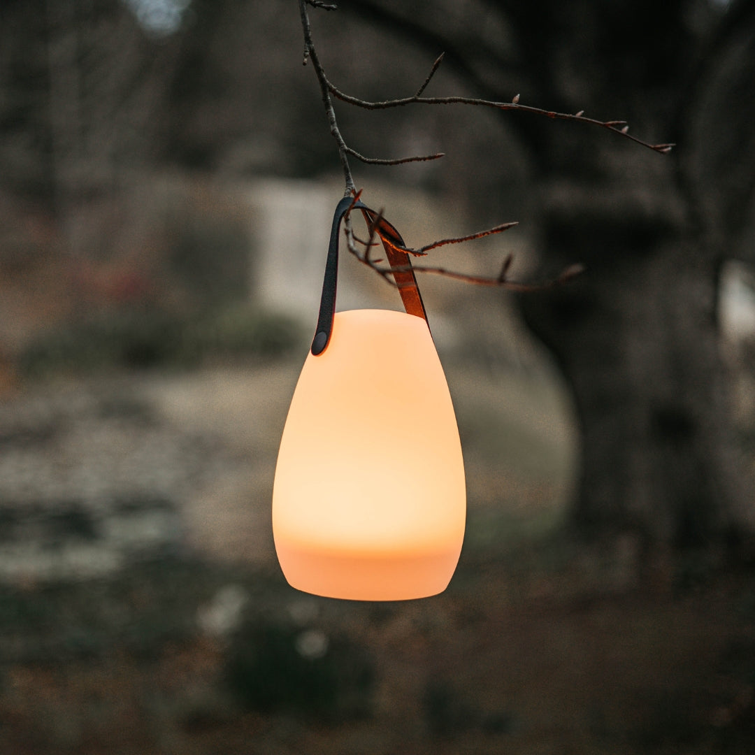 Rechargeable RGB camping lantern hanging from a tree in an outdoor setting glowing with warm light