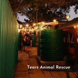 Retro White Festoon String Lights with warm white G45 globe bulbs strung above Tears Sleepathon at Tears Animal Rescue at night