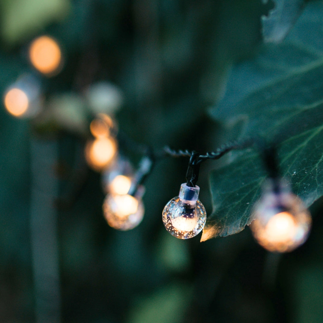 Fairy lights with glowing bulbs hanging among green leaves. 60 solar bubble lights glowing on black cable at dusk