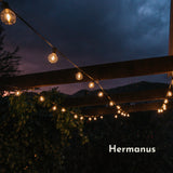 Solar Classic String Lights with warm white G40 globe bulbs strung across a pergola in Hermanus at dusk creating a warm golden glow in an outdoor garden setting