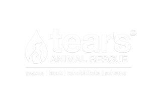 Tears Animal Rescue logo