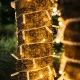 Close-up of warm white LED on UV-stabilised clear cable from Ultimate Clear Fairy Lights against a soft background