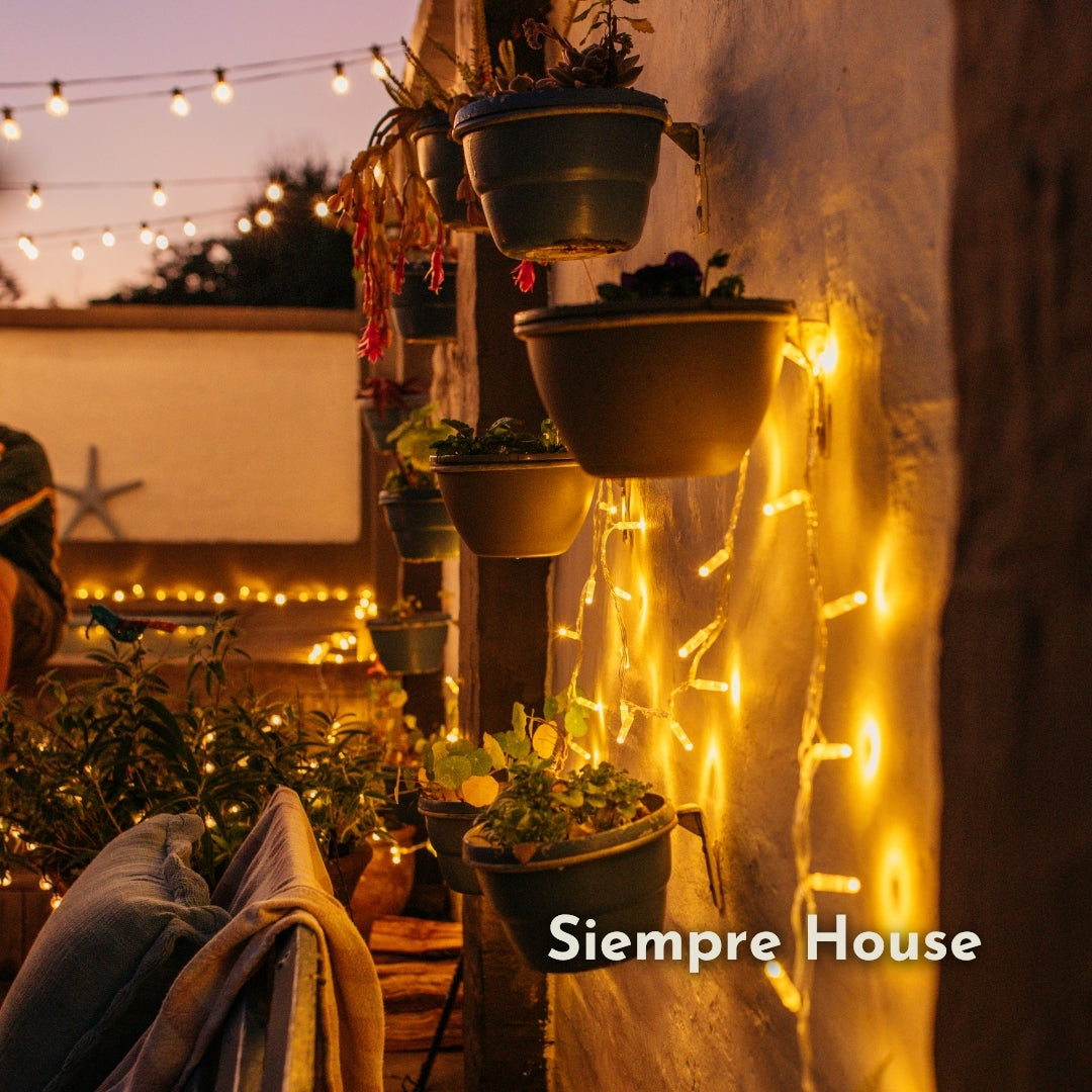 Warm white string lights draped along a rustic plaster wall beside hanging potted plants at dusk, with the text 'Siempre House' in the lower right corner.