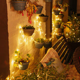 A cozy outdoor patio scene at night with multiple potted plants hanging on a textured wall, illuminated by warm white fairy lights. 