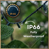 Ultimate Dark Green Fairy Lights glowing warm white in heavy rain with IP66 fully weatherproof badge and callout