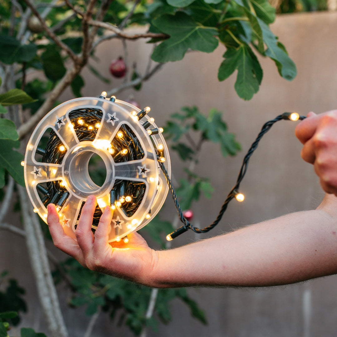 Close-up of warm white LED on extra-thick dark green cable from Ultimate Fairy Lights against a soft outdoor background
