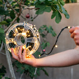 Close-up of warm white LED on extra-thick dark green cable from Ultimate Fairy Lights against a soft outdoor background
