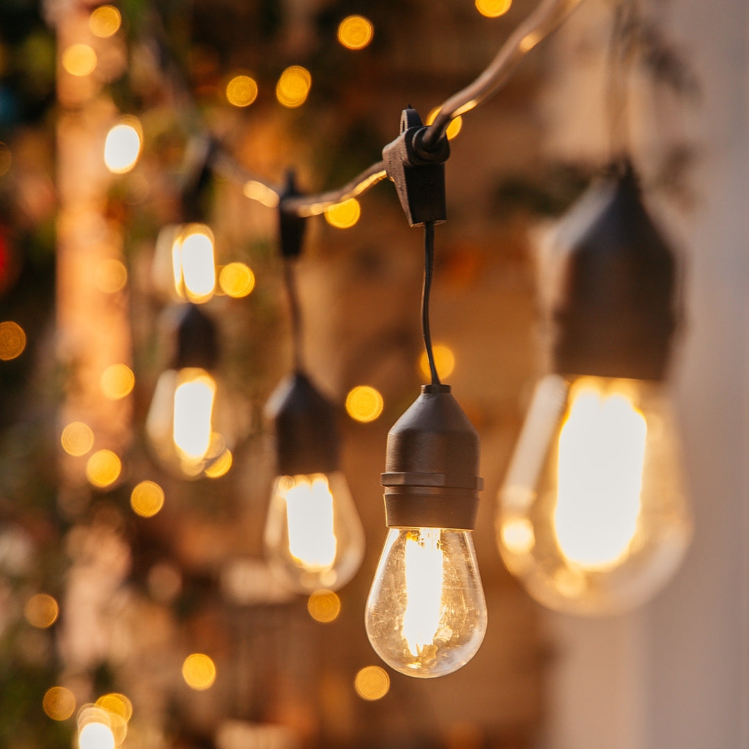 Ultimate Drop String Lights, 20-bulb version, individually suspended S14 bulbs strung outdoors at 50cm spacing