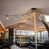 A large white stretch tent event stall canopy with wooden support posts, decorated with warm drop string lights, set up outdoors with picnic tables.Text overlay reads 'Peregrine Farm Stall'.