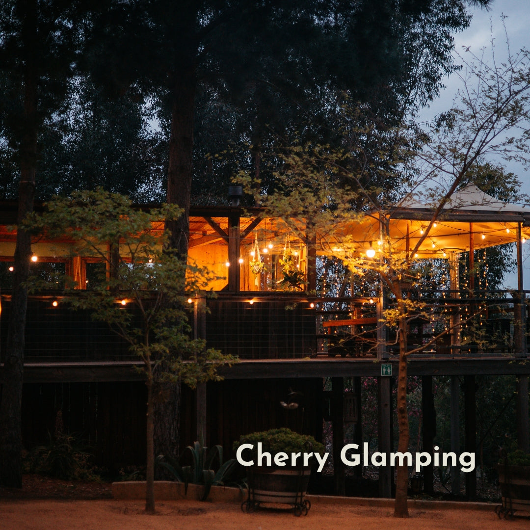 Ultimate Festoon String Lights strung across the elevated wooden deck and terrace of Cherry Glamping venue glowing warm white at dusk among tall trees